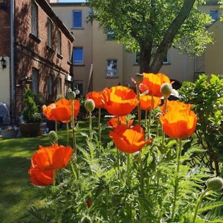 City Appartement Mit Garten, Zentral Und Trotzdem Ruhig コットブス エクステリア 写真
