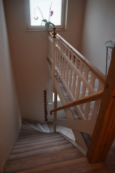 City Appartement Mit Garten, Zentral Und Trotzdem Ruhig コットブス エクステリア 写真