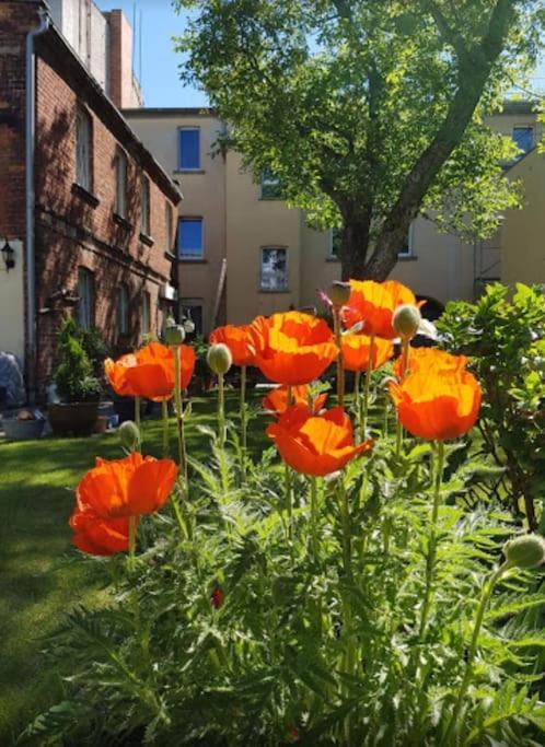 City Appartement Mit Garten, Zentral Und Trotzdem Ruhig コットブス エクステリア 写真